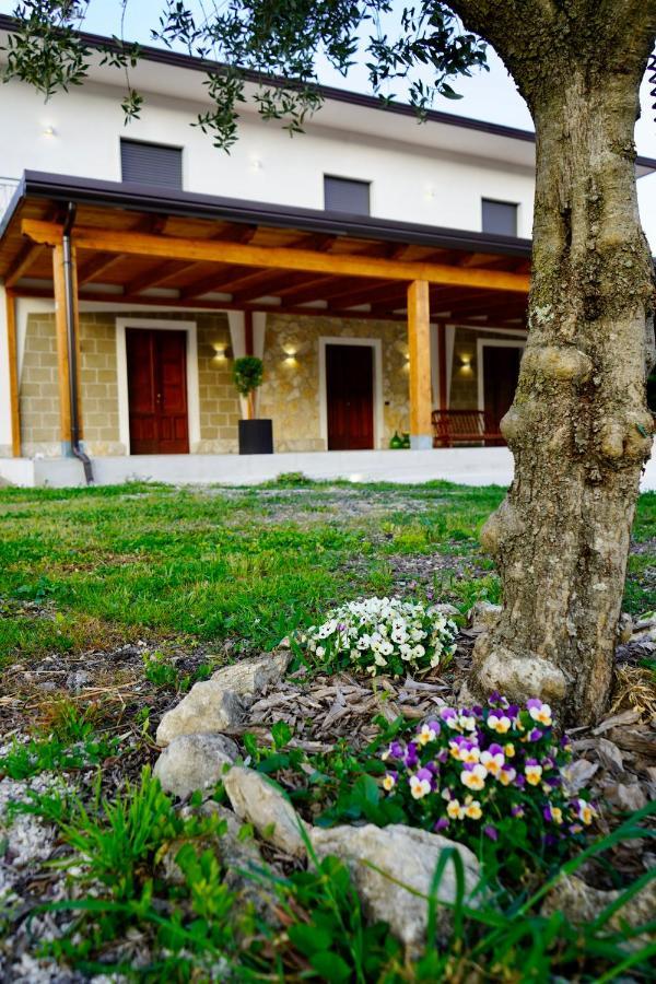 Atomos Bed & Breakfast Alvignano Exterior photo